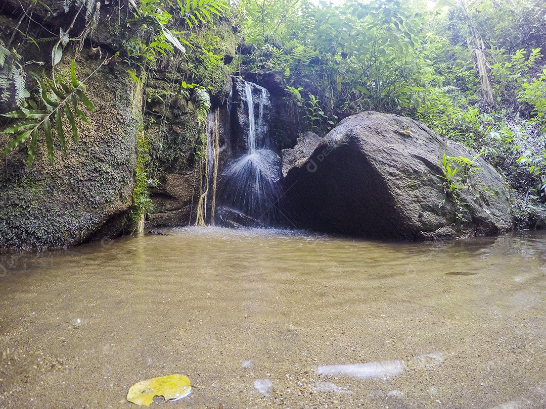 Visual da trilha entre os bairros de Jacarepaguá.