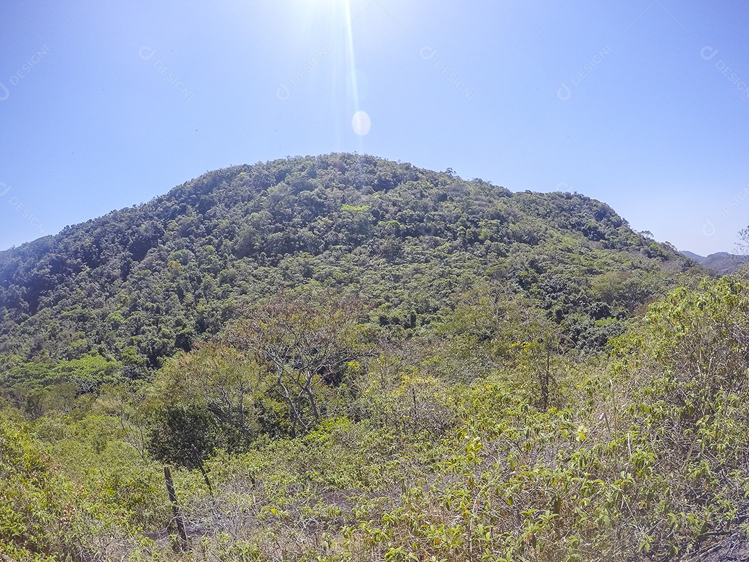 Trilha Tupinambá em Niterói.