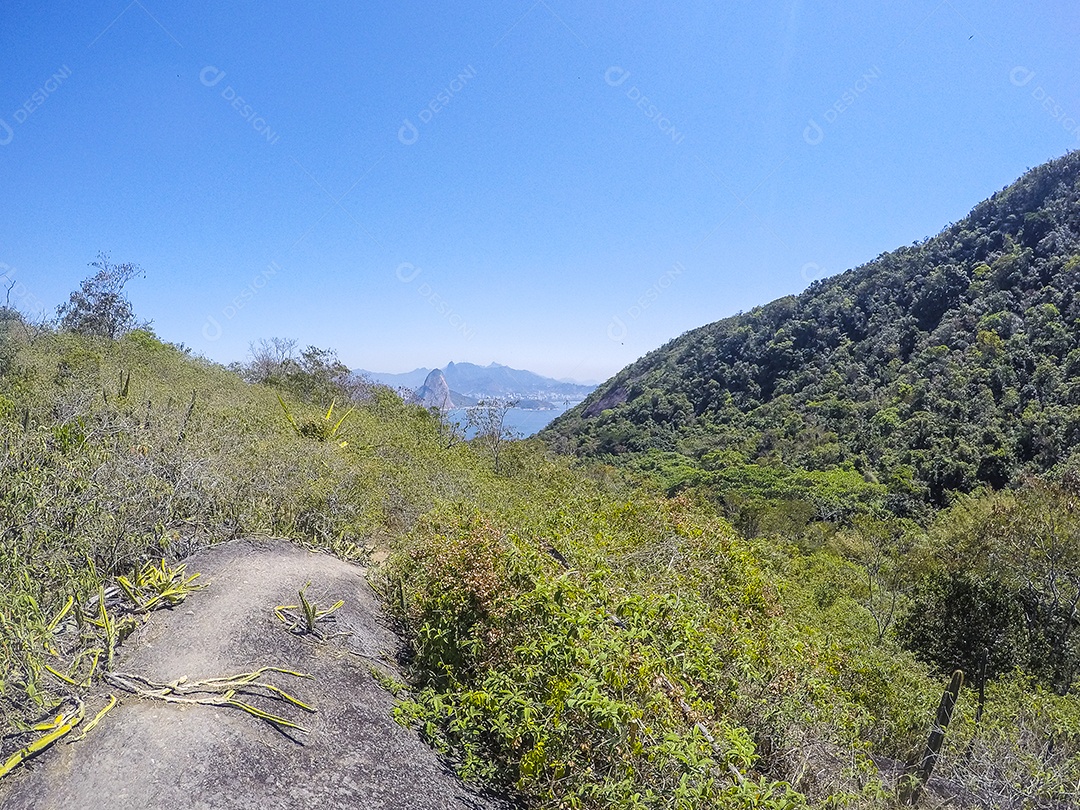 Trilha Tupinambá em Niterói.