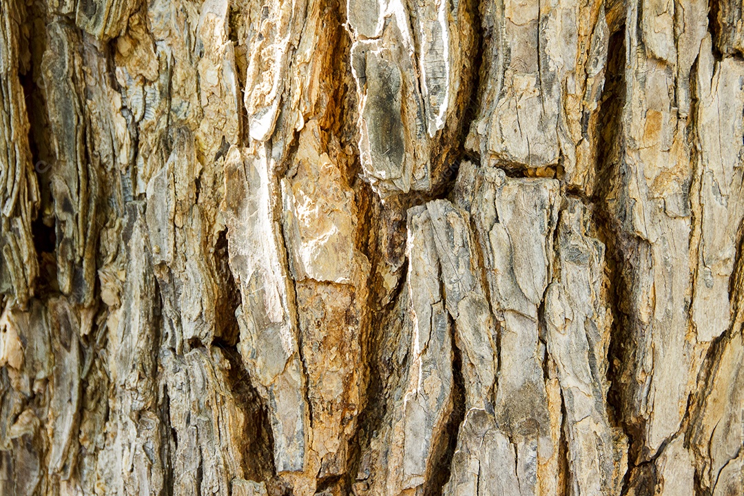 Imagens de fundo de textura.