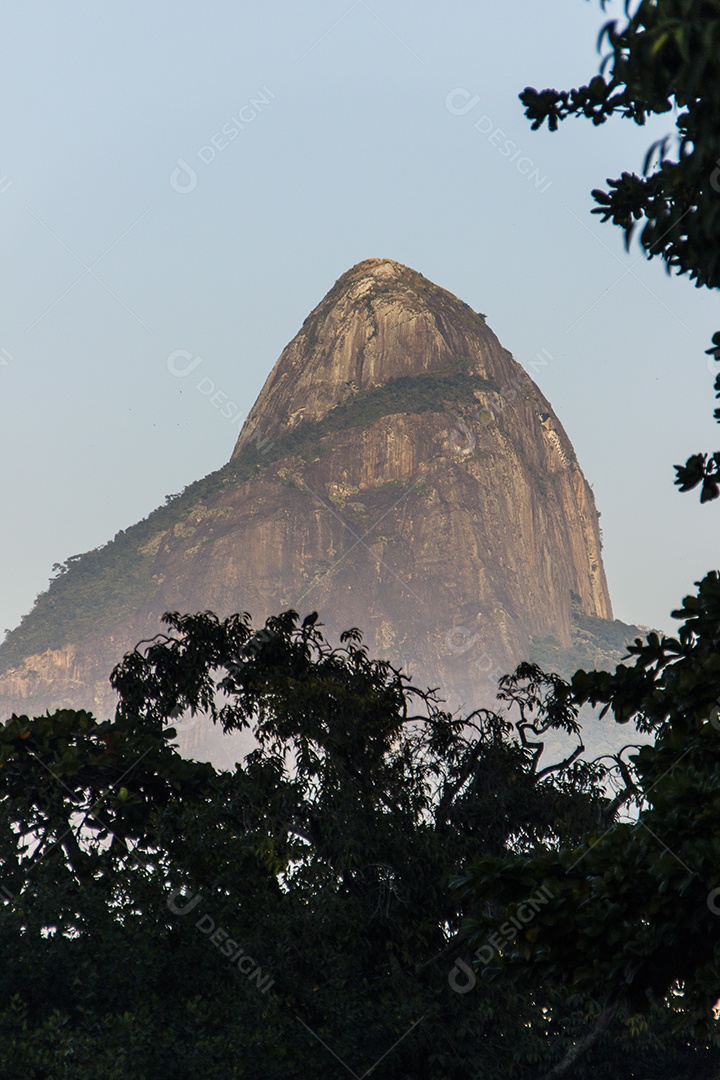 Lagoa Rodrigo de Freitas Rio de Janeiro.