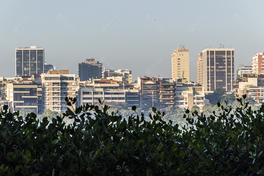 Lagoa Rodrigo de Freitas Rio de Janeiro.