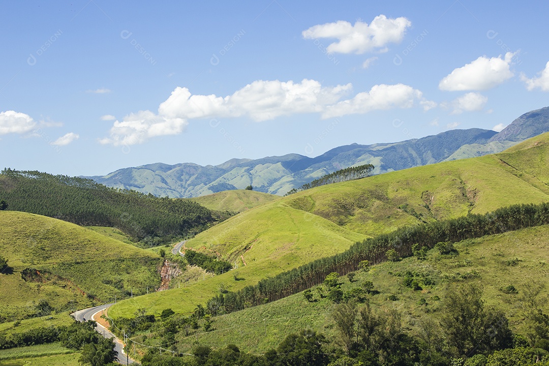 Detalhes do bananal São Paulo.