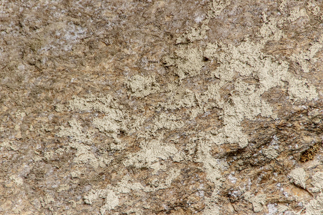 Imagens de fundo de textura.