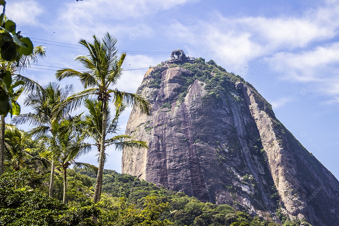Look da prostituta do bairro no Rio de Janeiro.