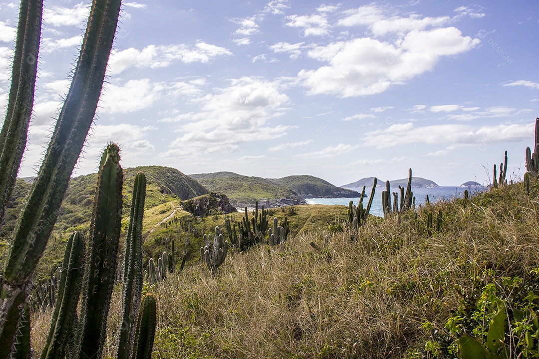 Praias do cabo frio no Rio de Janeiro.