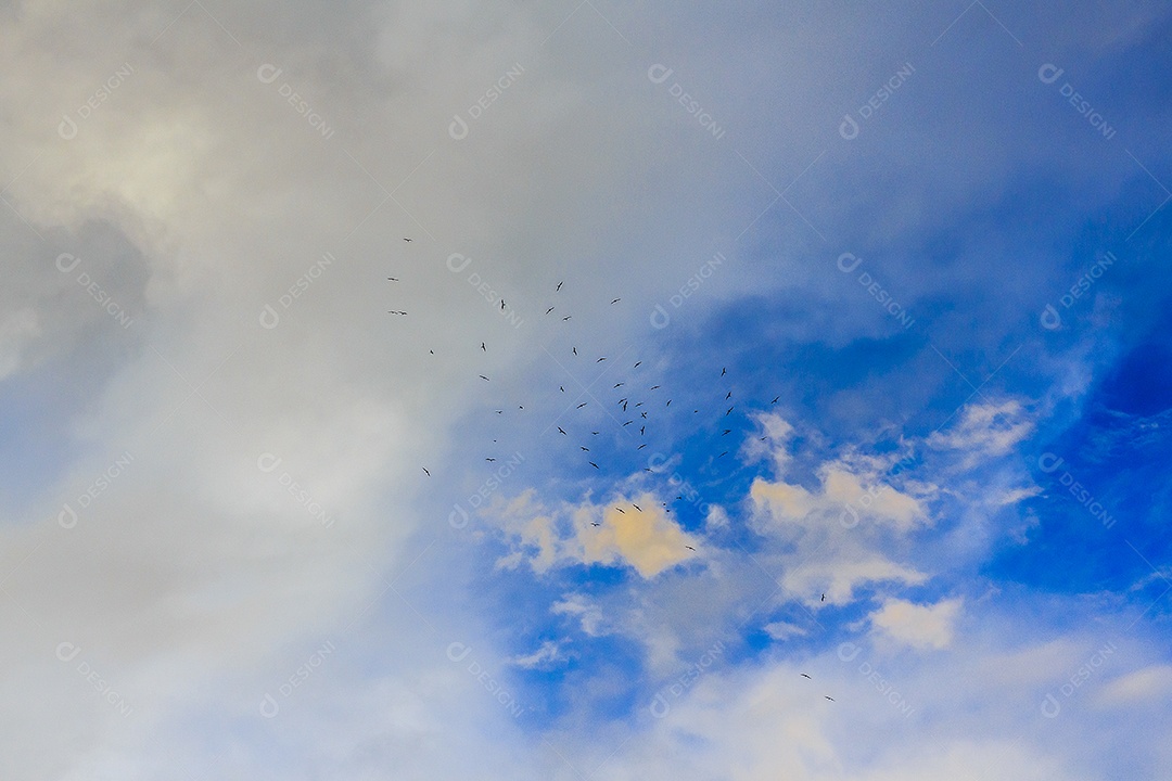 Pôr do sol no morro do Cantagalo.