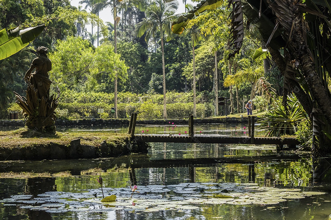 Jardim botânico Rio de Janeiro.