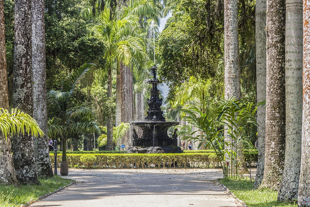 Jardim botânico Rio de Janeiro.