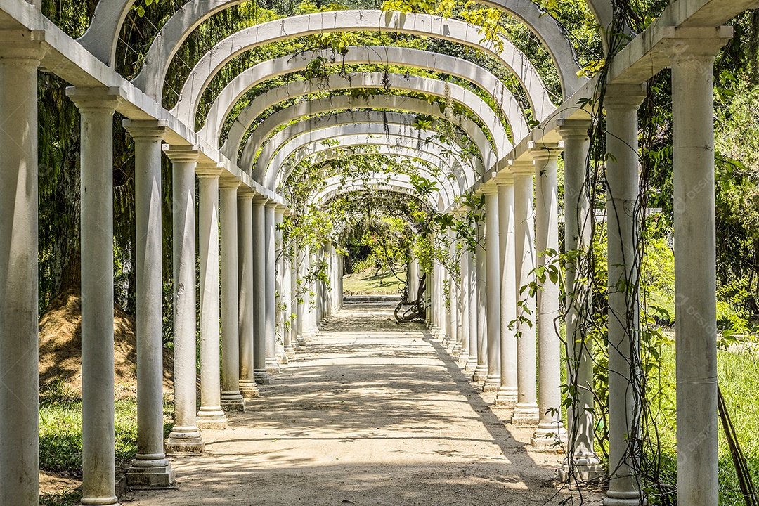 Jardim botânico Rio de Janeiro.