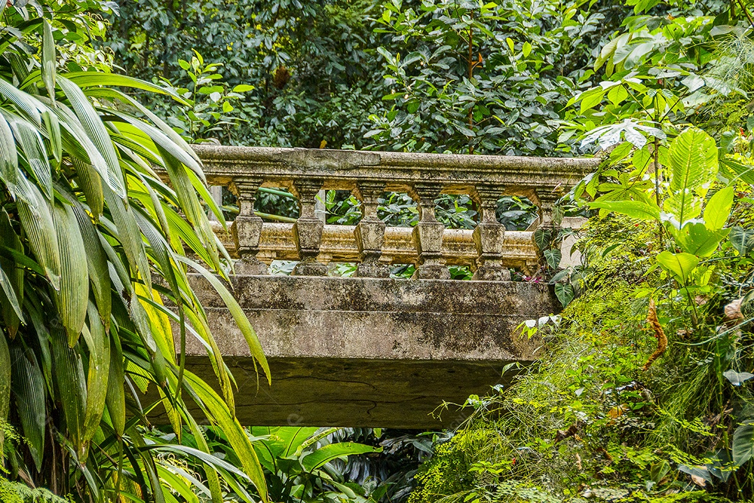 Parque lage Rio de Janeiro.