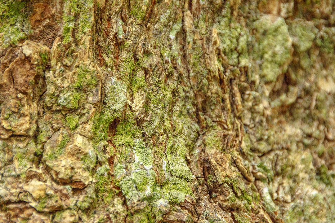 Imagens de fundo de textura.