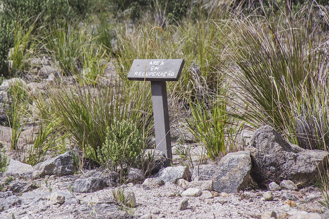 Painéis informativos brasileiros.