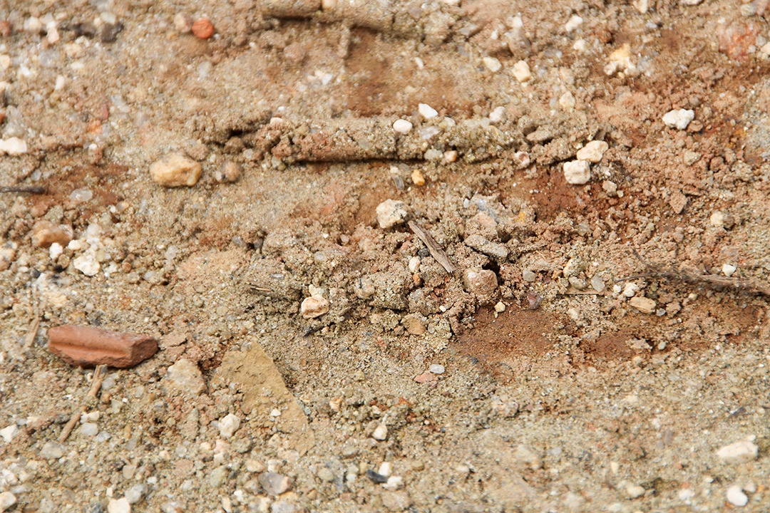 textura de areia com pedras para fundo de tela no brasil.