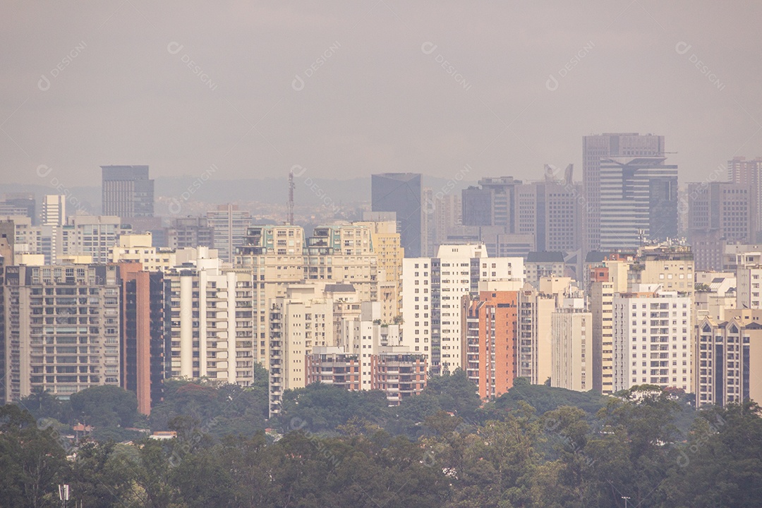 Edifícios do centro da cidade de são paulo Brasil