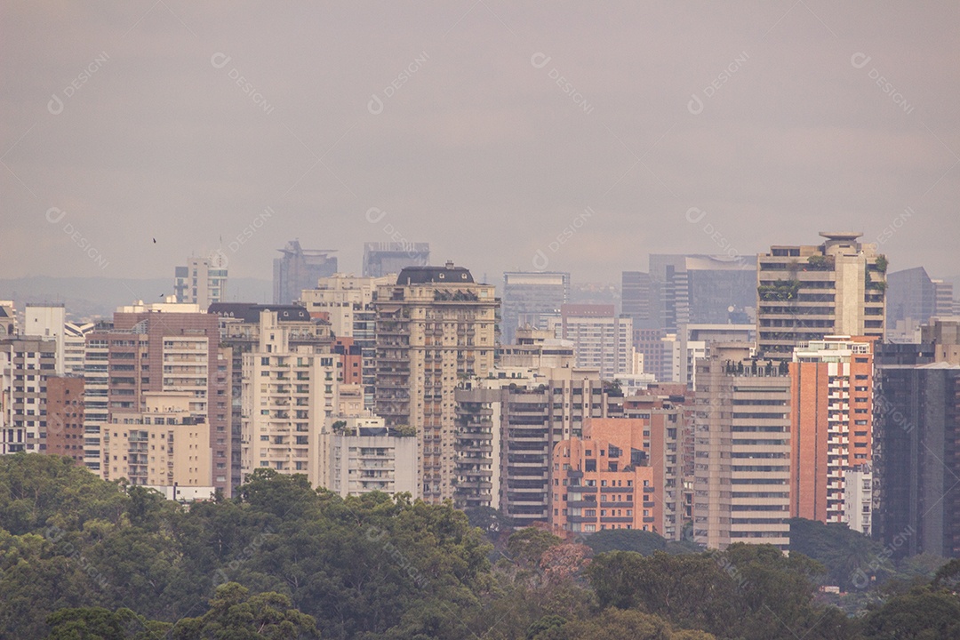 Edifícios do centro da cidade de são paulo Brasil