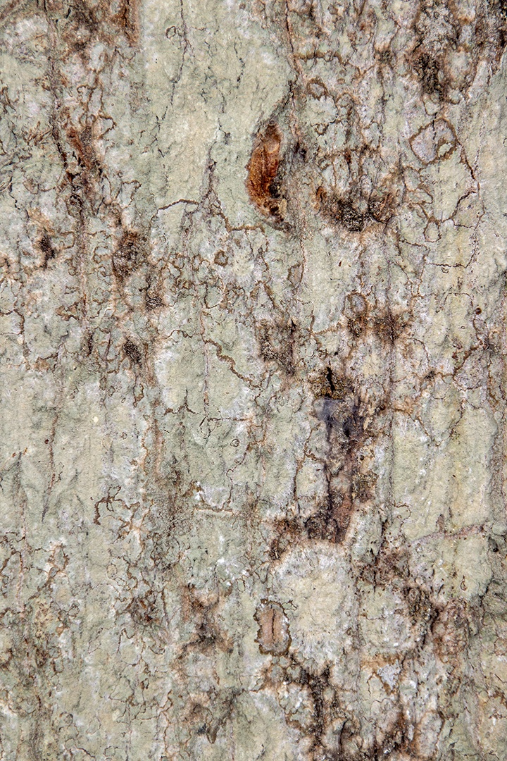 textura de pedra antiga para fundo rio de janeiro brasil