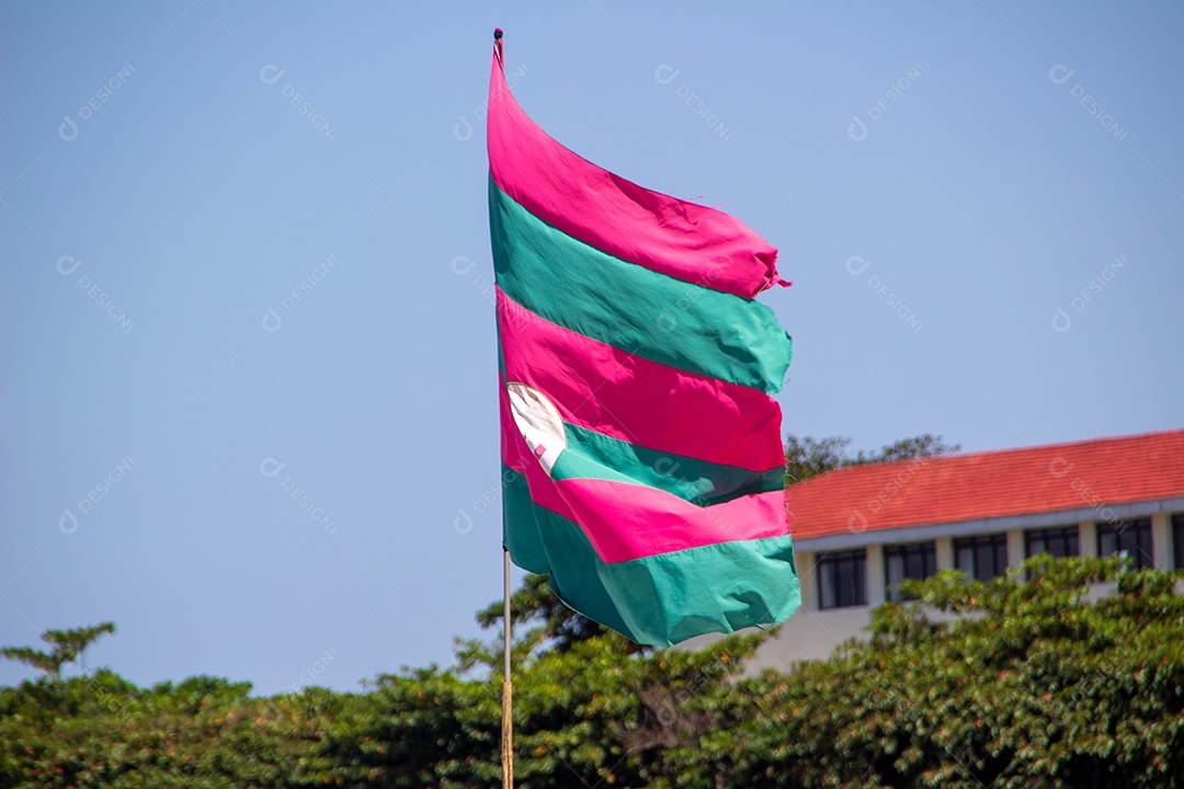 bandeira verde e rosa, em homenagem à escola de samba mangueira