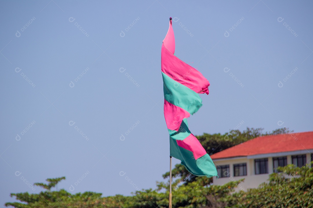 bandeira verde e rosa, em homenagem à escola de samba mangueira