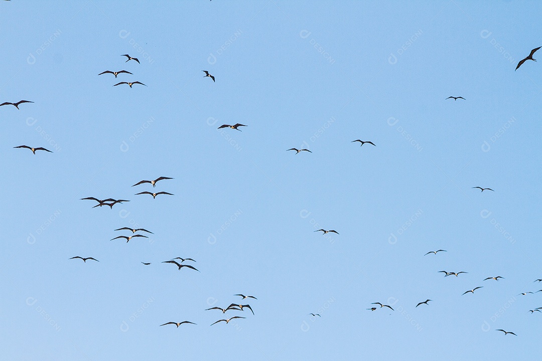 fragata no céu azul da praia de ipanema no Rio de Janeiro.