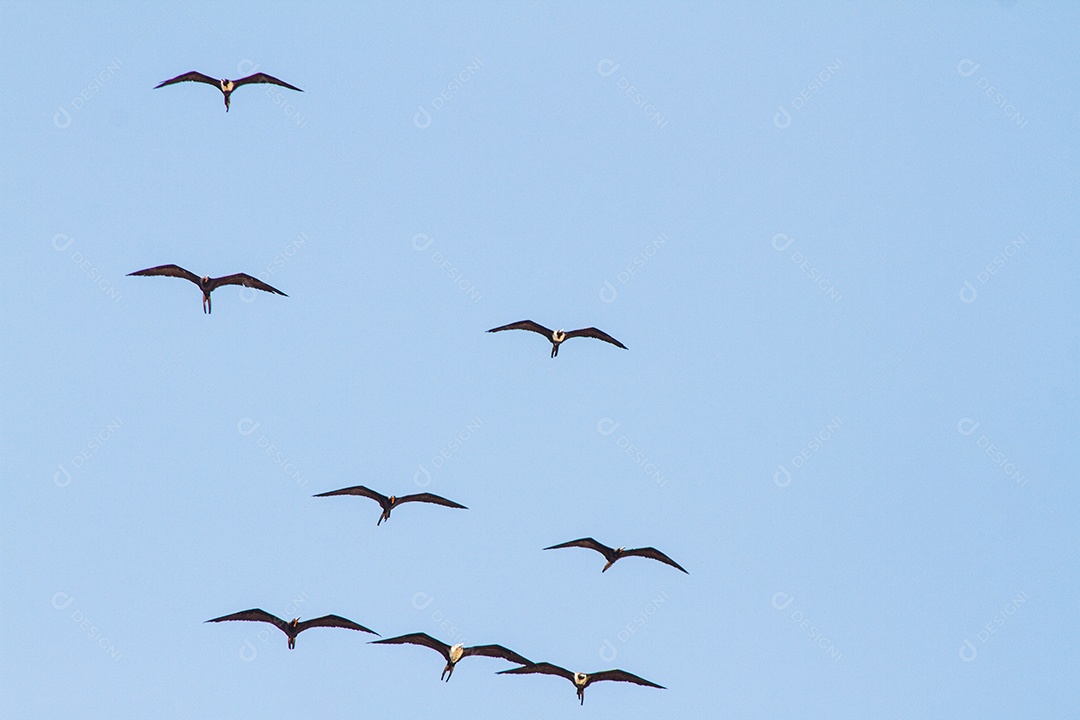 fragata no céu azul da praia de ipanema no Rio de Janeiro.