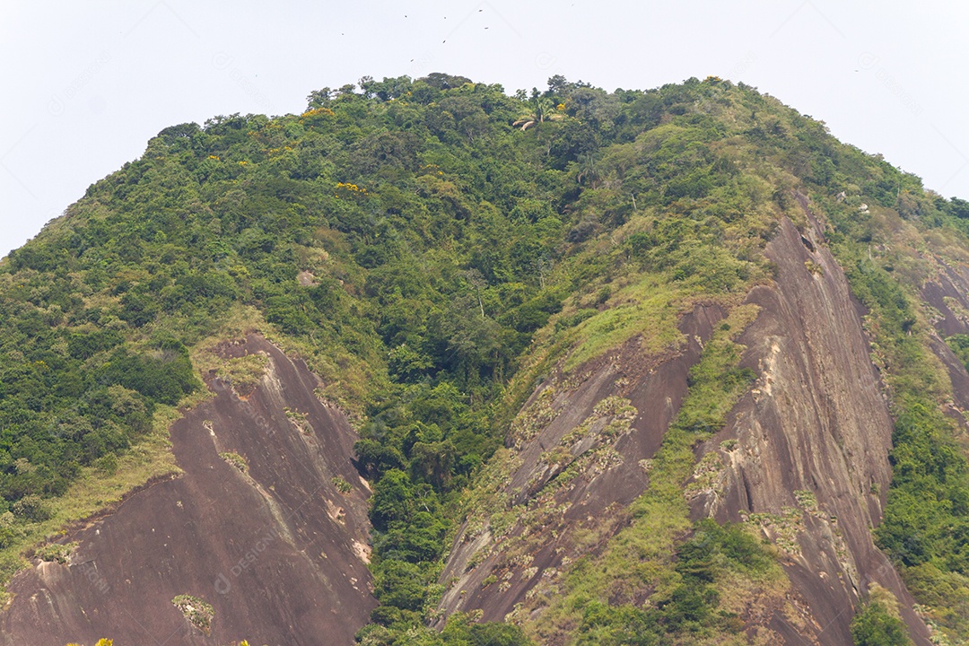 morro de cabras no bairro de Copacabana no Rio de Janeiro.