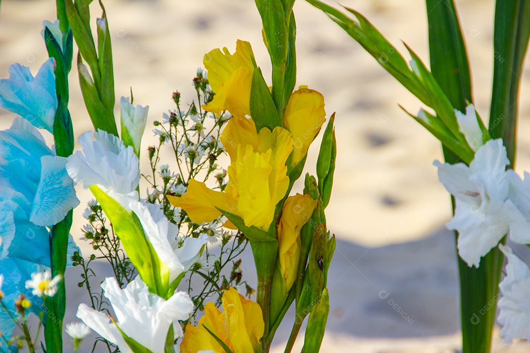 flor de palmeira oferecida para iemanjá, em Copacabana no Rio de Janeiro brasil.