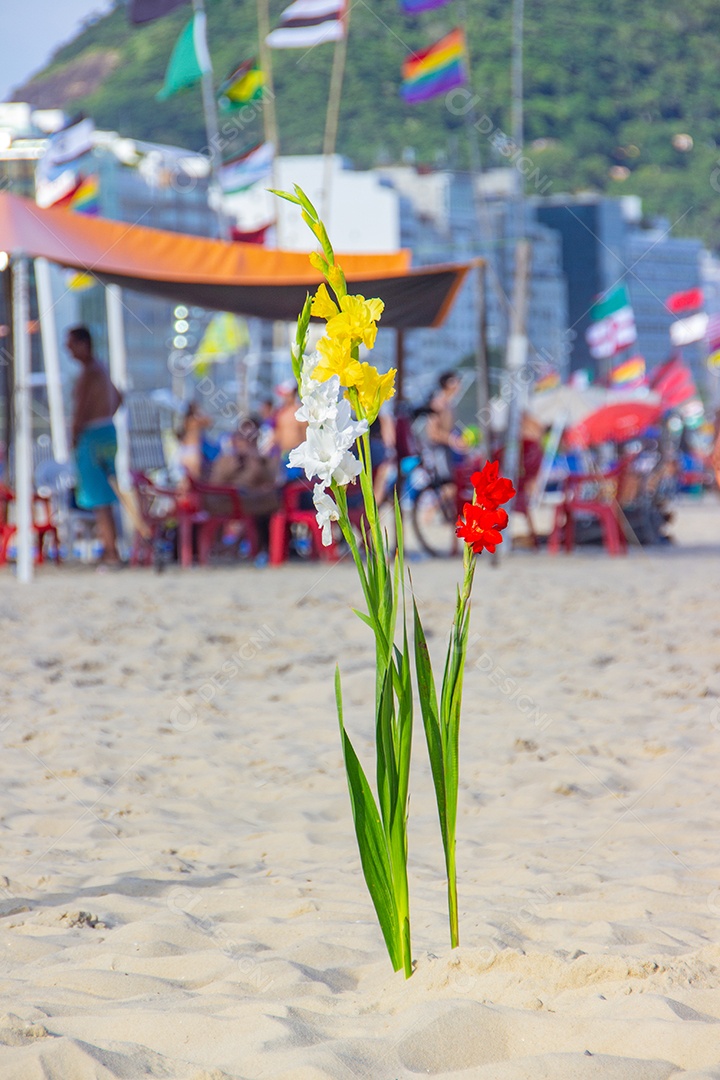 flor de palmeira oferecida para iemanjá, em Copacabana no Rio de Janeiro brasil.