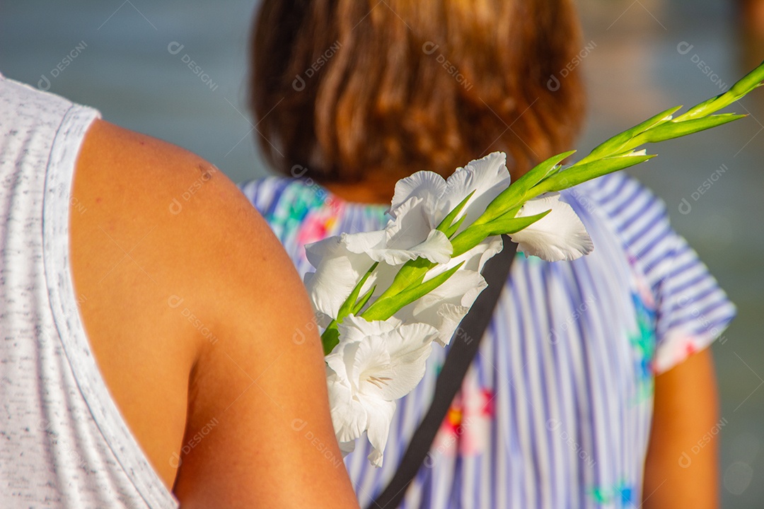 flor de palmeira oferecida para iemanjá, em Copacabana no Rio de Janeiro brasil.