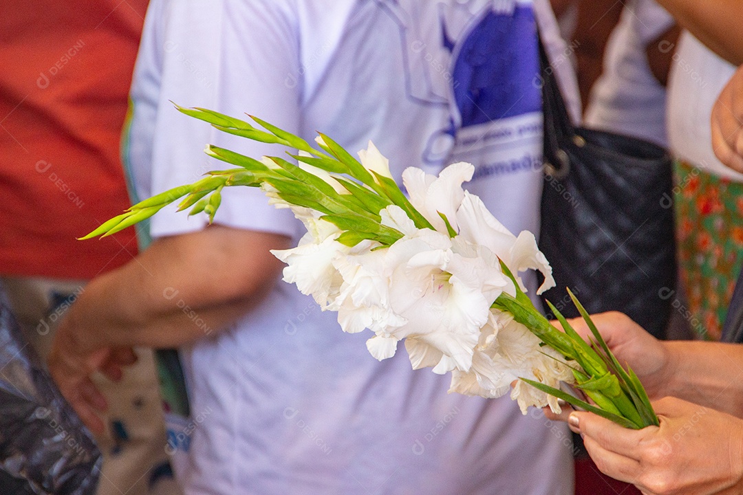 flor de palmeira oferecida para iemanjá, em Copacabana no Rio de Janeiro brasil.