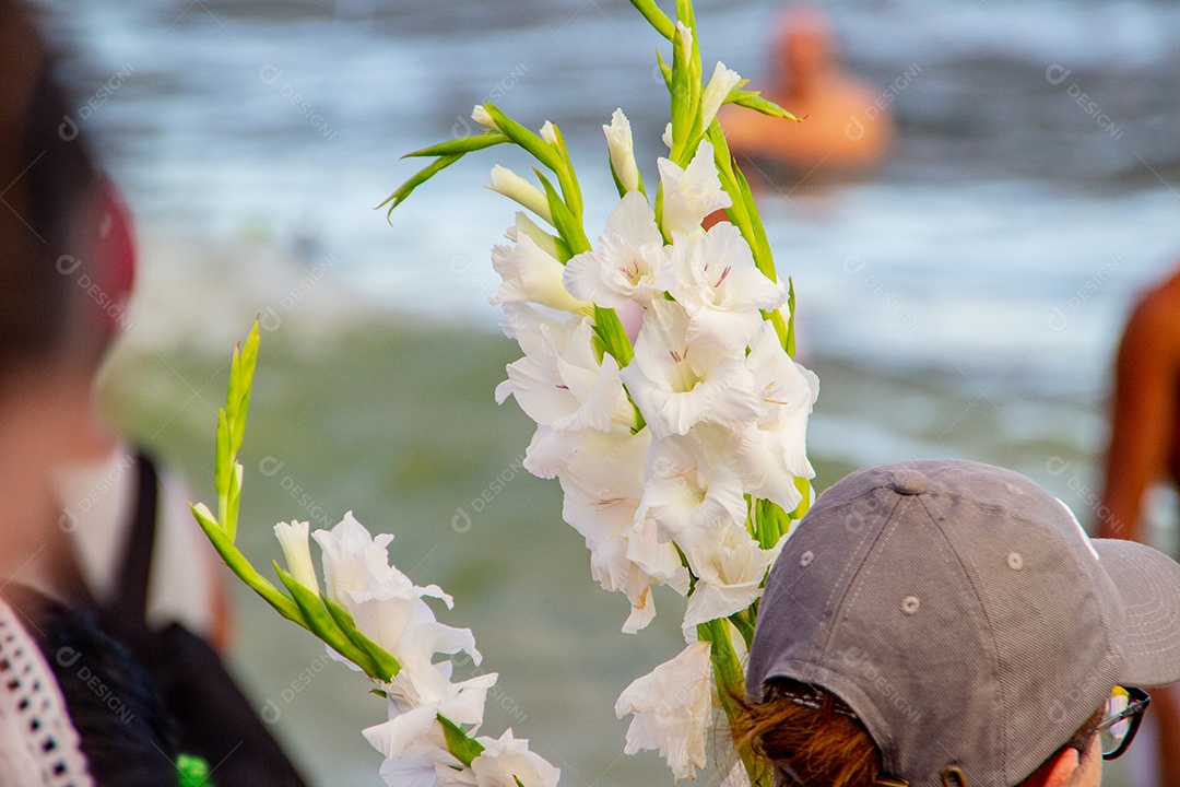 flor de palmeira oferecida para iemanjá, em Copacabana no Rio de Janeiro brasil.