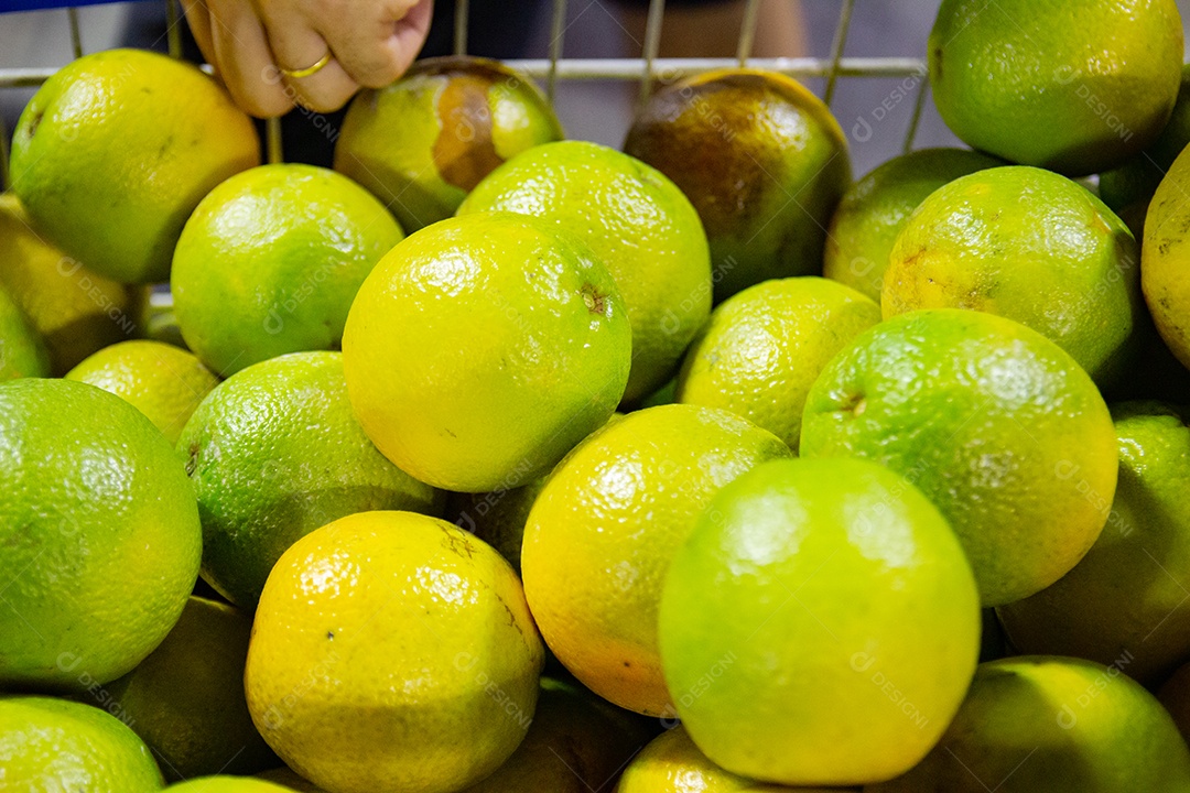 laranjas dentro de um carrinho de supermercado no rio de janeiro