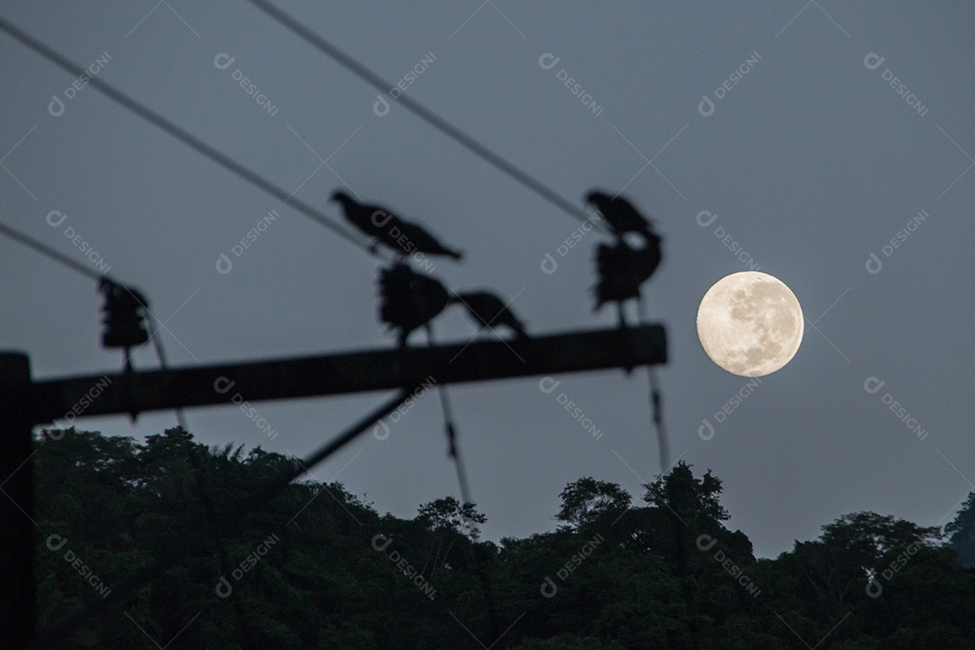 Moonset com silhueta de fios em Copacabana Rio de Janeiro, Brasil.