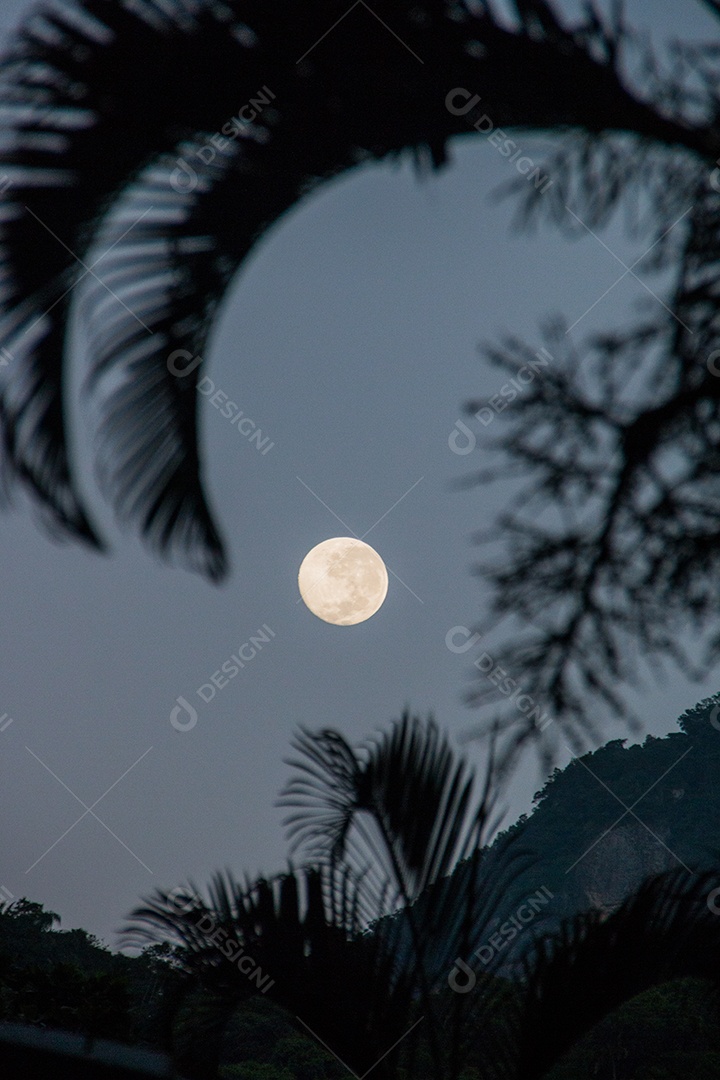 Moonset com silhueta de árvores no bairro de Copacabana Rio de Janeiro, Brasil.