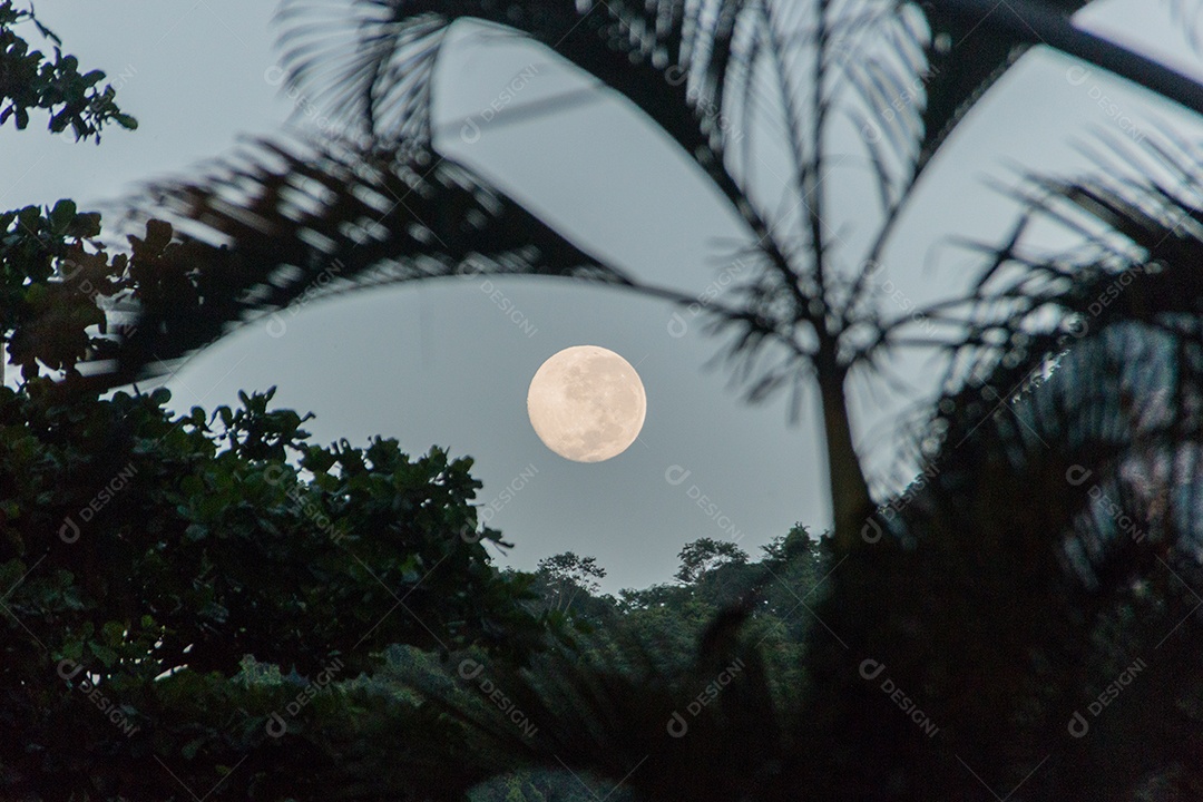 Moonset com silhueta de fios em Copacabana Rio de Janeiro, Brasil.