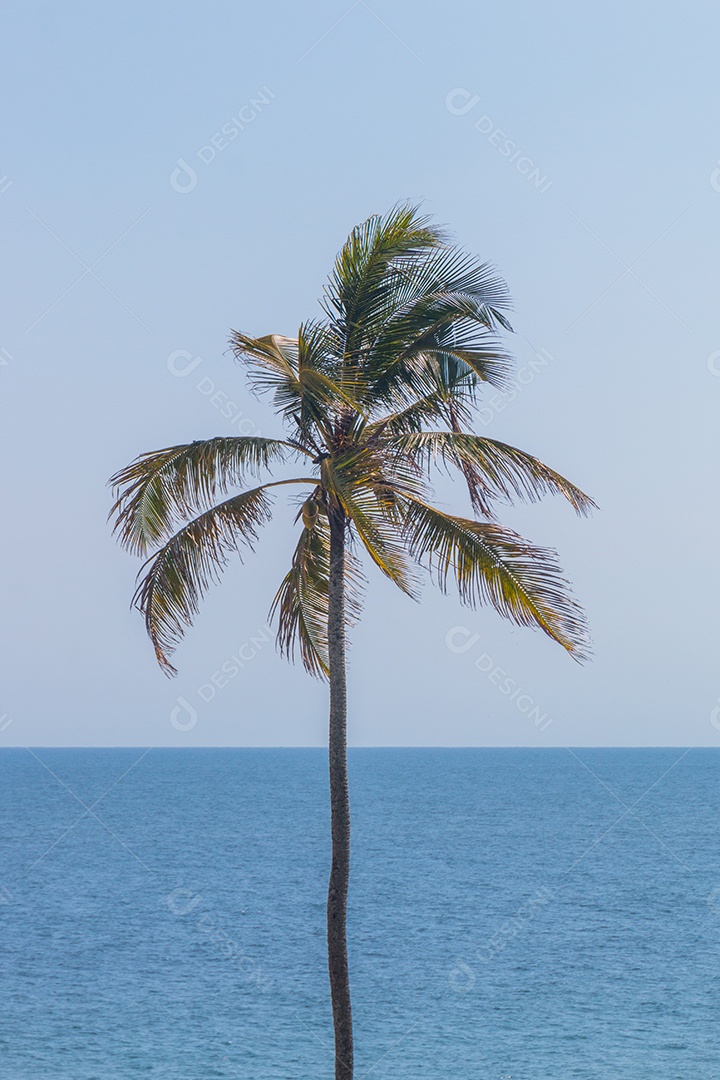 Coqueirao, um local popular na praia de Ipanema, no Rio de Janeiro, Brasil.