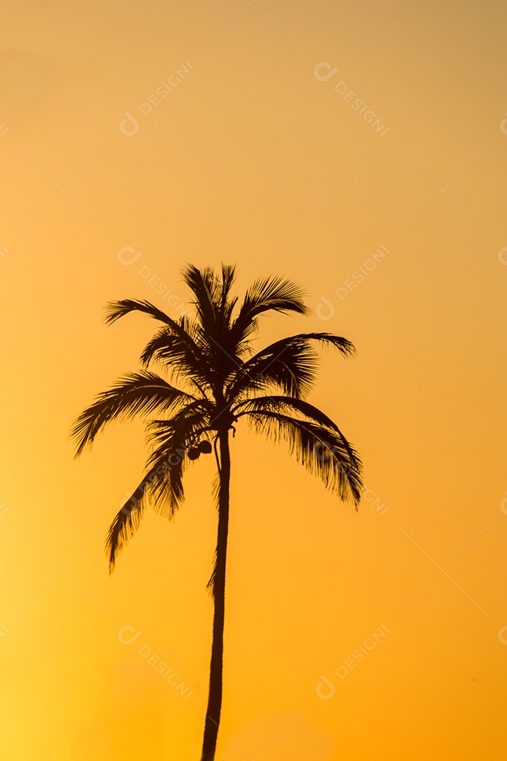 silhueta de um coqueiro no posto 9 da praia de ipanema no Rio de Janeiro.