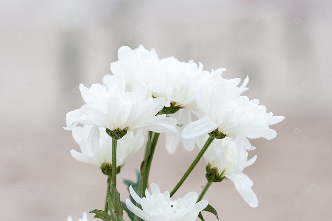 flores em homenagem a Iemanjá, na areia da praia de Copacabana, no Rio de Janeiro.