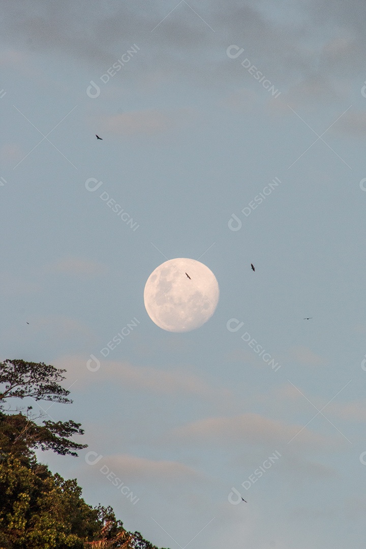 lua cheia no Rio de Janeiro, Brasil.