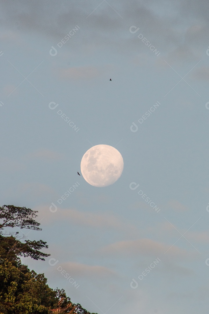 lua cheia no Rio de Janeiro, Brasil.