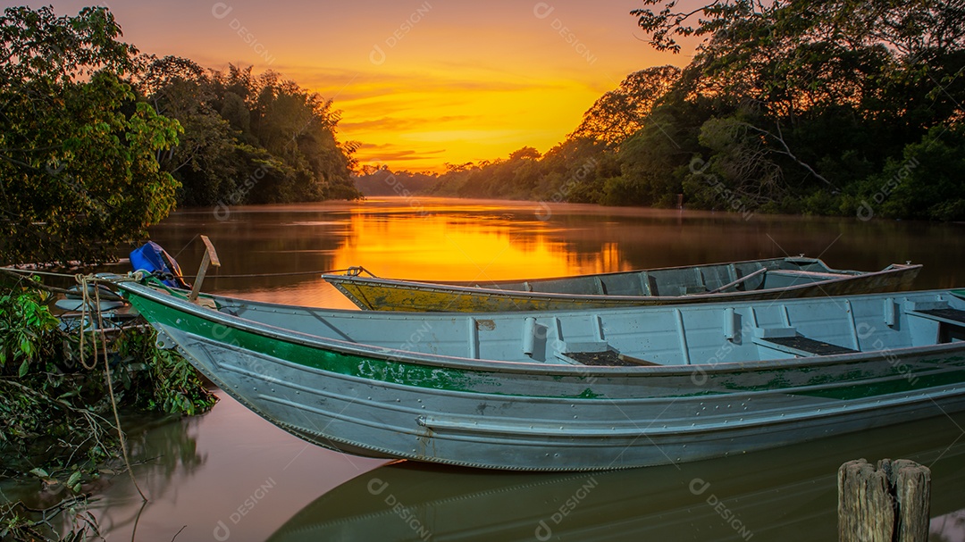 amanhecer no rio aquidauana, barcos amarrados em galhos de árvores