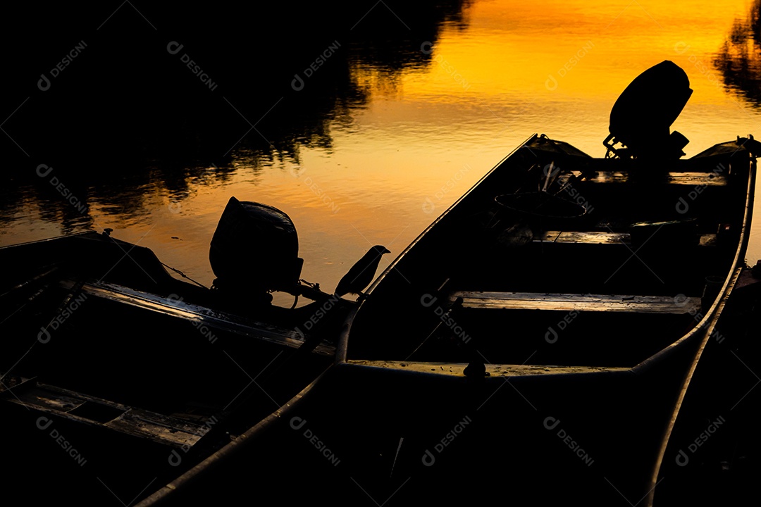 amanhecer no rio aquidauana, passarinho observa restos de isca abandonados em um barco