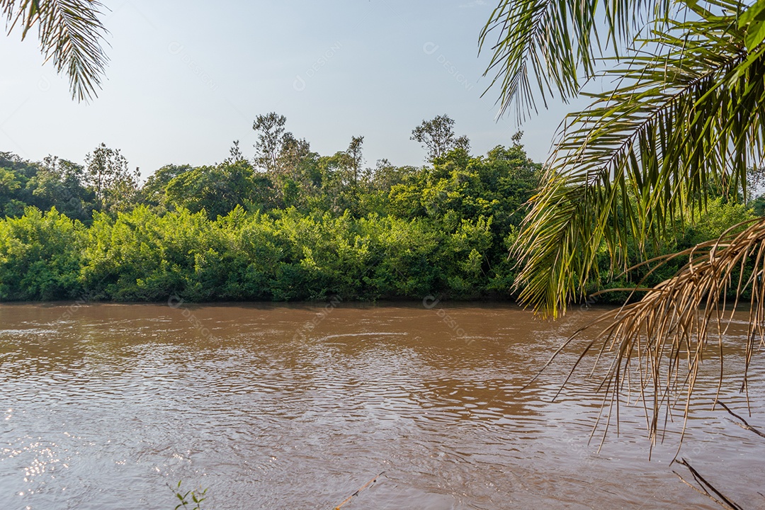 Rio Aquidauana, no Pantanal. O Pantanal é considerado a maior área úmida contínua do mundo.