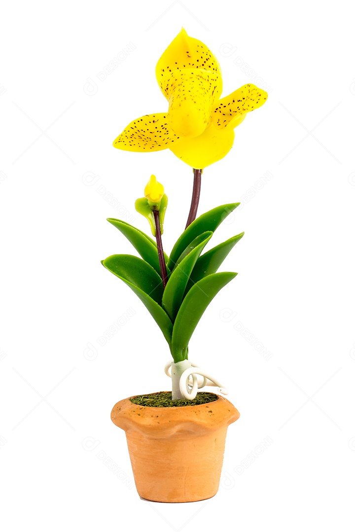 Orquídea Flor Planta em Vaso Casa de Bonecas Miniaturas Jardim Isolar