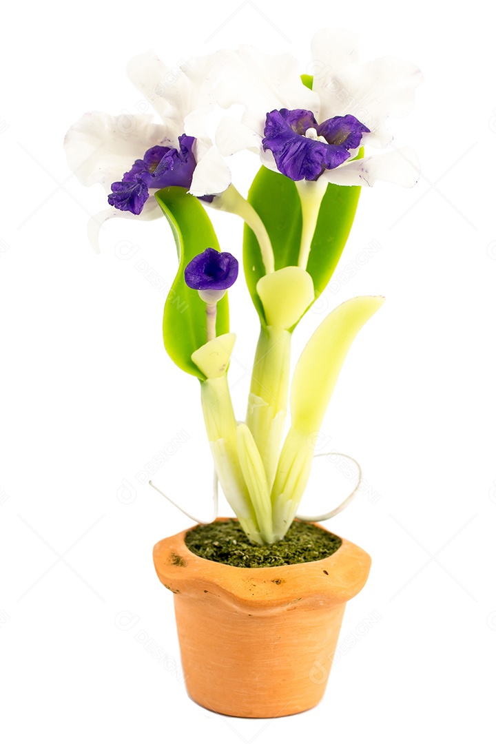 Orquídea Flor Planta em Vaso Casa de Bonecas Miniaturas Jardim Isolar
