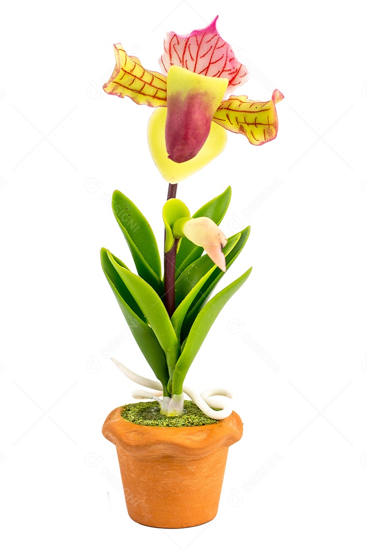 Orquídea Flor Planta em Vaso Casa de Bonecas Miniaturas Jardim Isolar