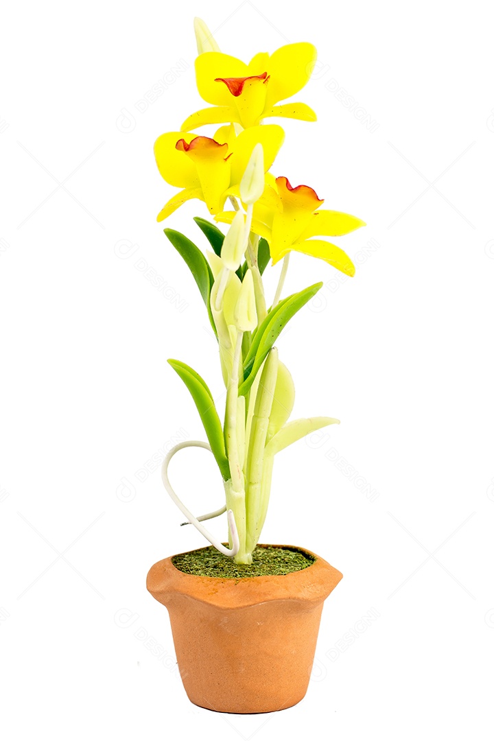 Orquídea Flor Planta em Vaso Casa de Bonecas Miniaturas Jardim Isolar
