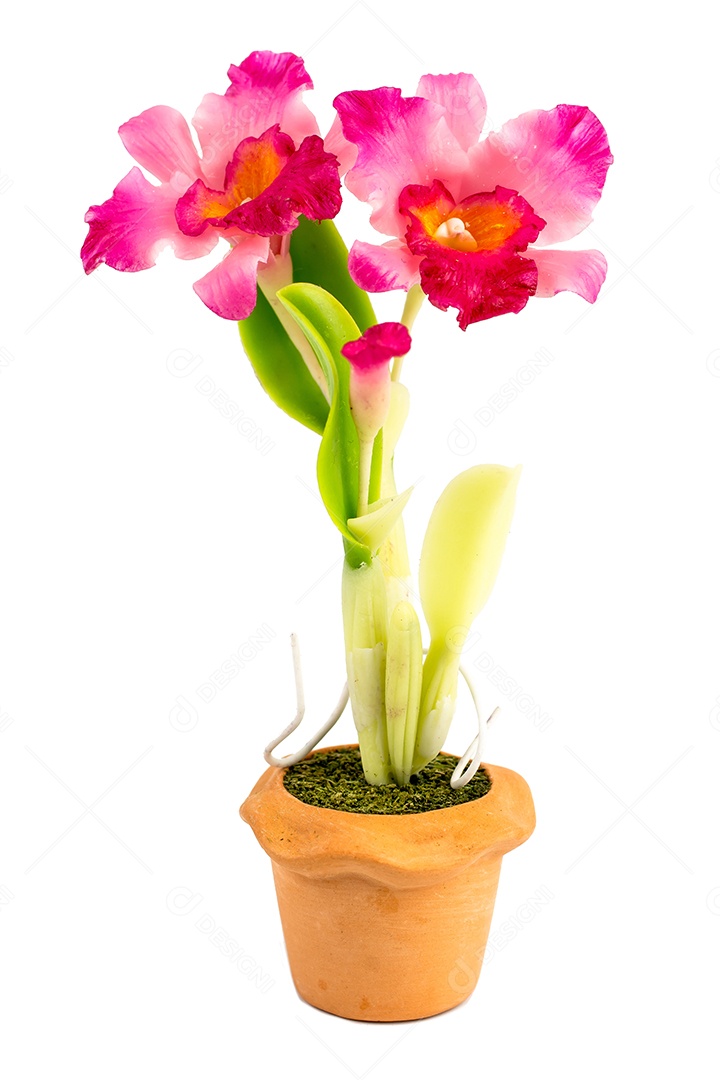 Orquídea Flor Planta em Vaso Casa de Bonecas Miniaturas Jardim Isolar