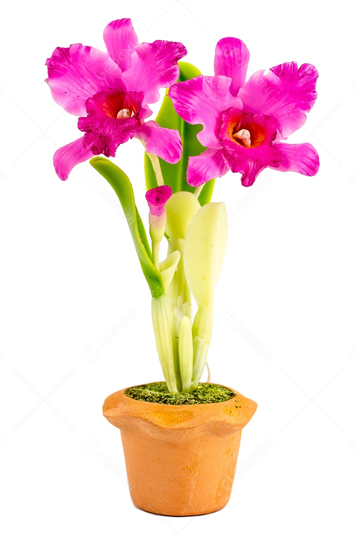 Orquídea Flor Planta em Vaso Casa de Bonecas Miniaturas Jardim Isolar