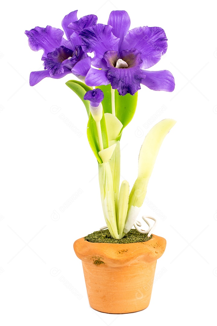 Orquídea Flor Planta em Vaso Casa de Bonecas Miniaturas Jardim Isolar